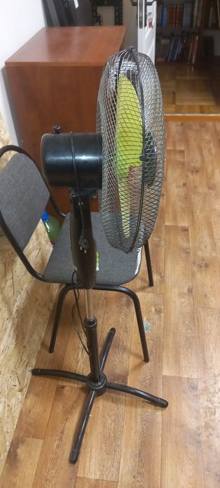 Вентилятор с доставкой