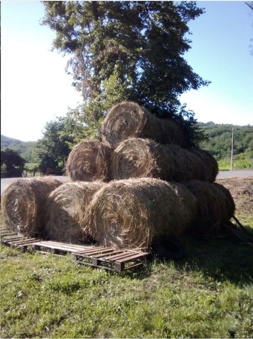 Vând baloți de fân