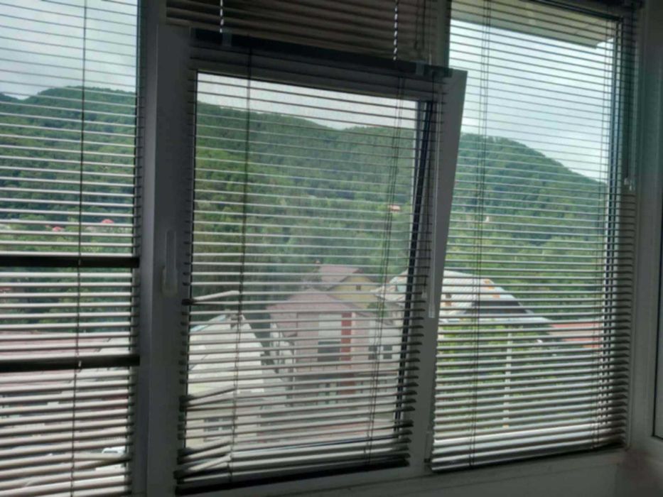 Apartament 1 camera Precista