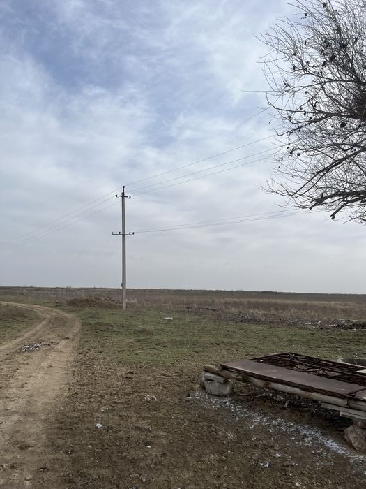 Шорнак Сауран поля