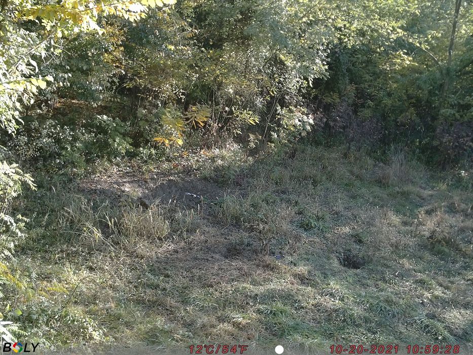 Bg710 MFP 4G Forest Camera Vanatoare 24Mp