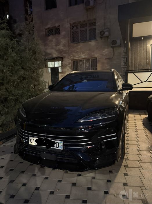 Byd chempion gibrid