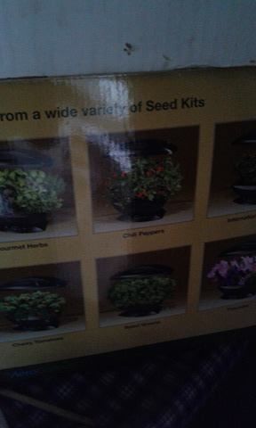 Mini sera in bucatarie