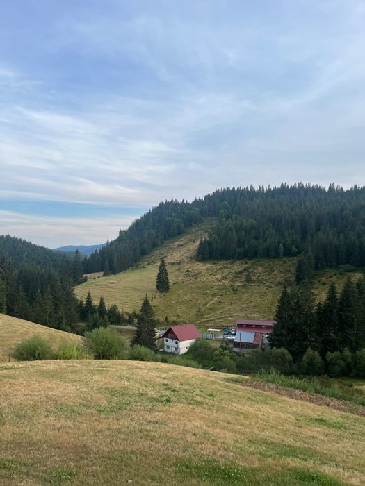 Teren de vânzare Arieseni