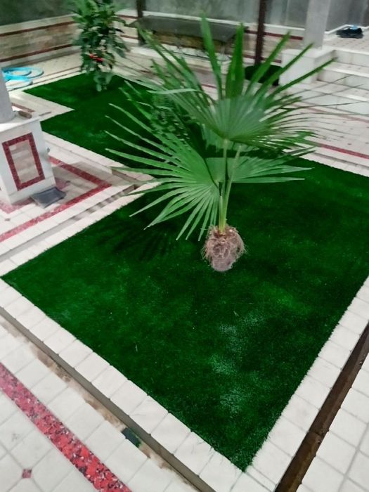 Искуствиний Газони из первых рук