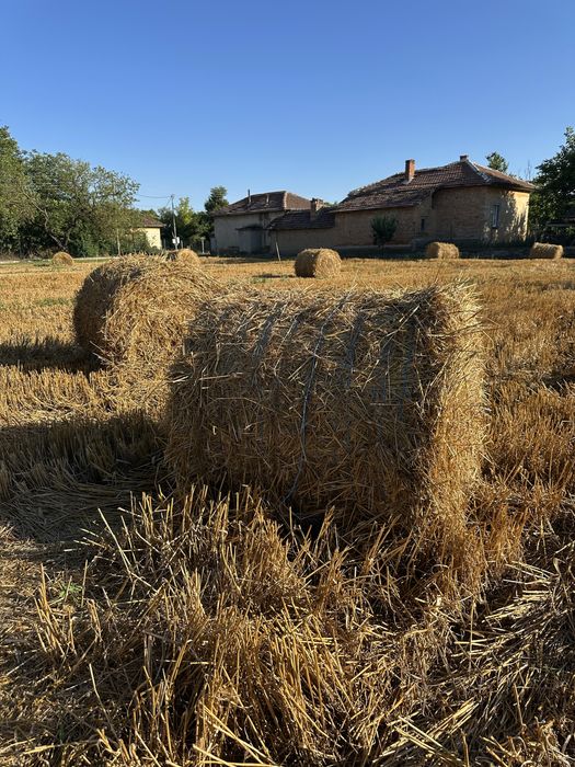 Рулонни бали житна слама, рулонни бали овес със зърното
