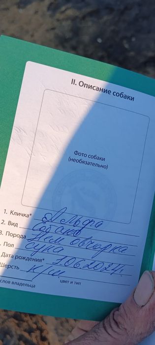 Немецкий авчарка