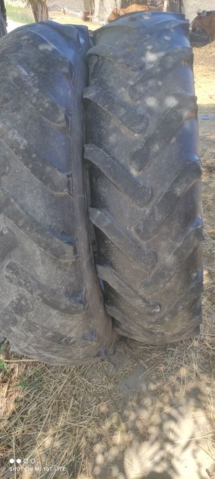 Traktor ballonlari sotilad