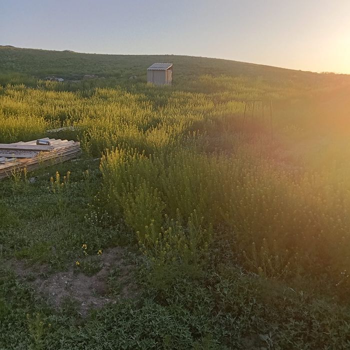 Крестьянской хозяиство