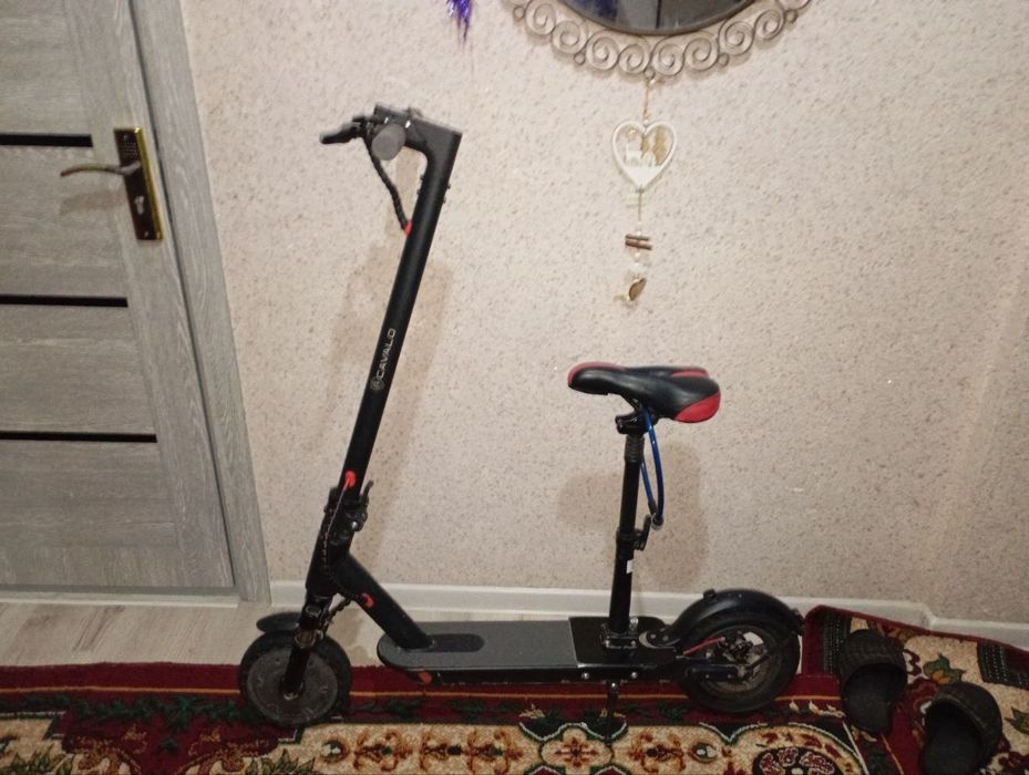 Samakat kop xaydalmagan xolati yangi