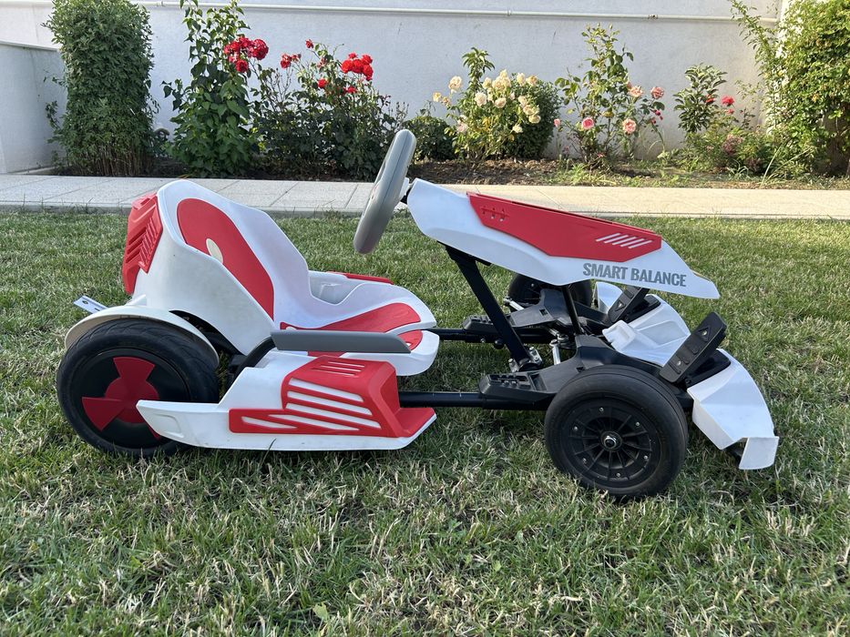 Vand cart electric