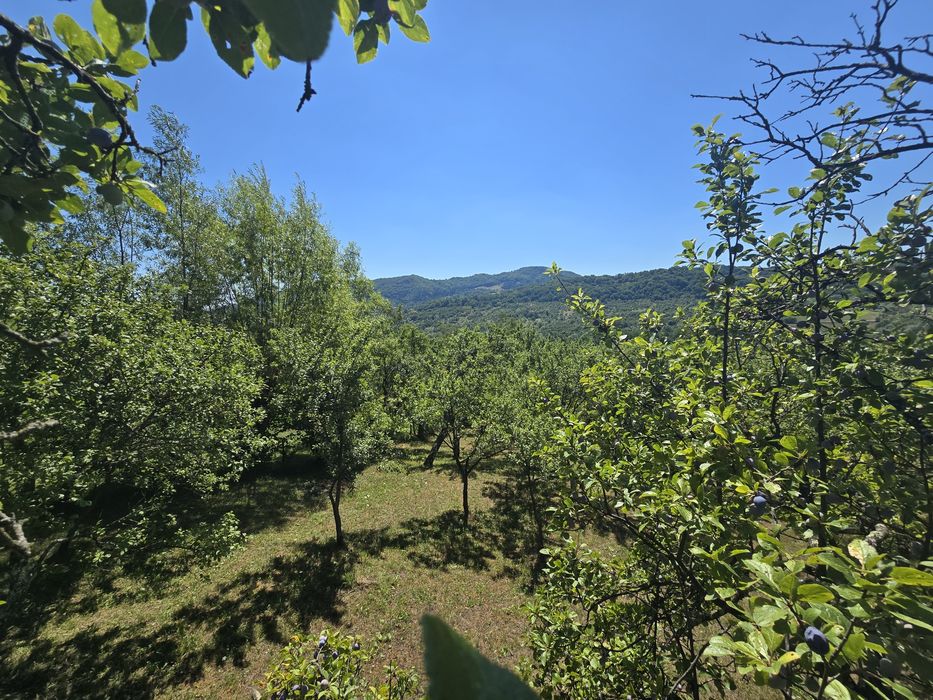 Teren intravilan Corbi  , Arges , Mănăstirea Corbii de Piatra