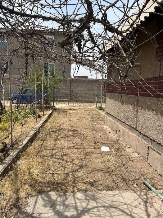 Dachshund prodayotsa