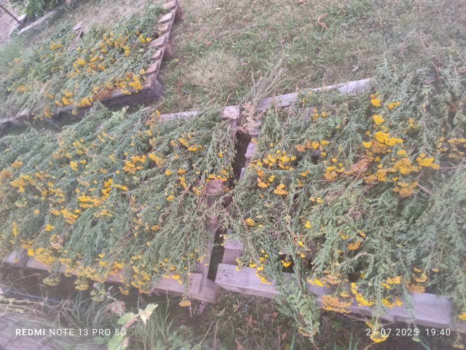 Вратига за опушване на пчели