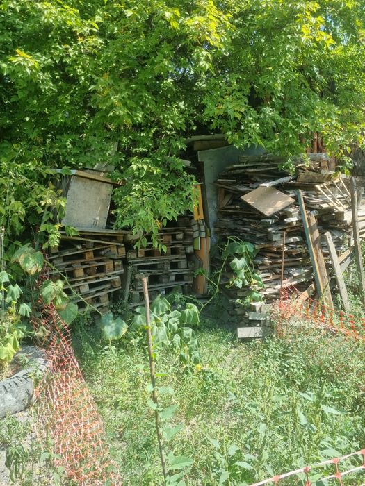 Продам дрова и поддон