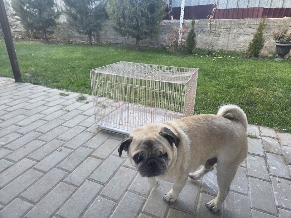 Продам клетку для крыс