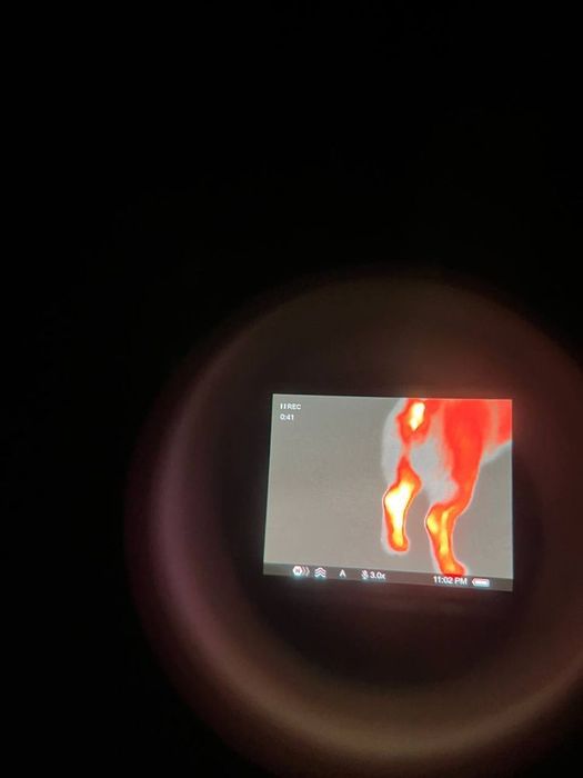 Тепловизор Pulsar Axion XM30S