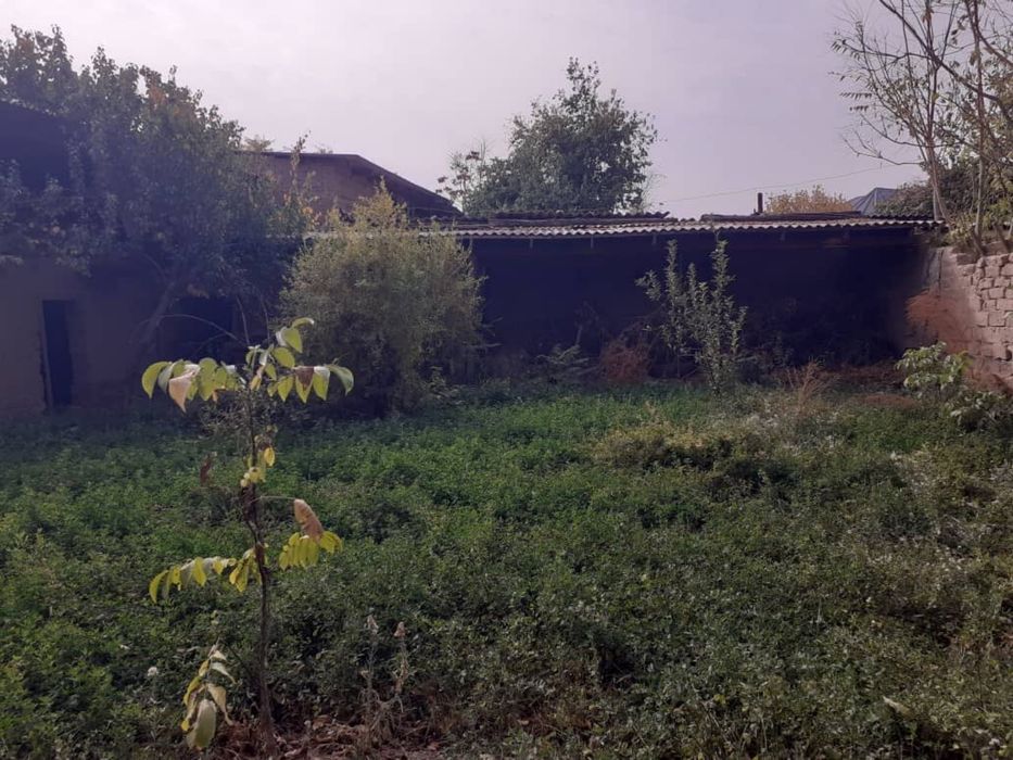 Yer sotiladi 7 yoki 8 sotok (Shurchi shahhri, Paxtakor berk ko’chasi)