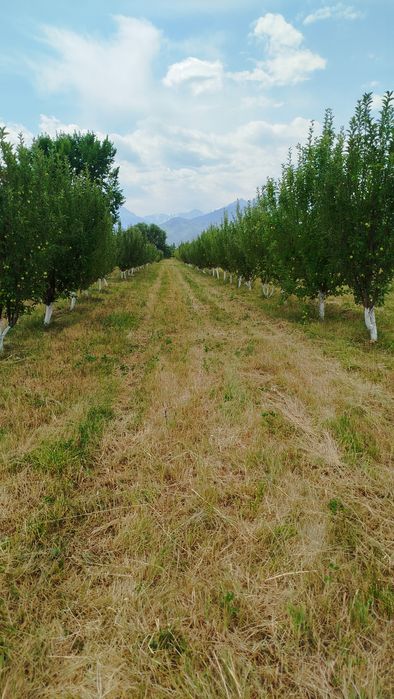 Продам земельный участок