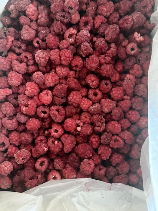 Малина Замороженная сорт Таджикский и местный