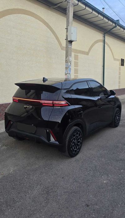 Byd seagull pod zakaz