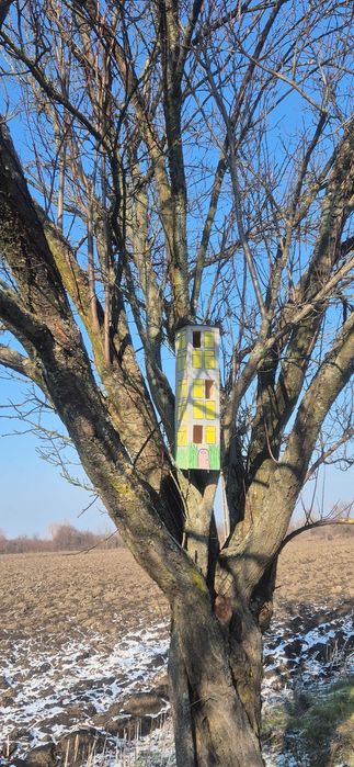 Casute din lemn pentru pasari