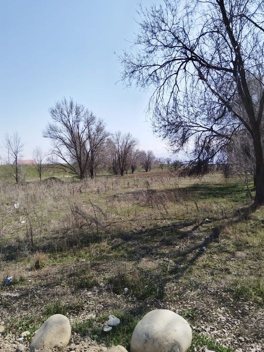 Продам участок в селе Чемолган