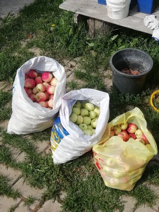 Продам дачу за с.Тарханка