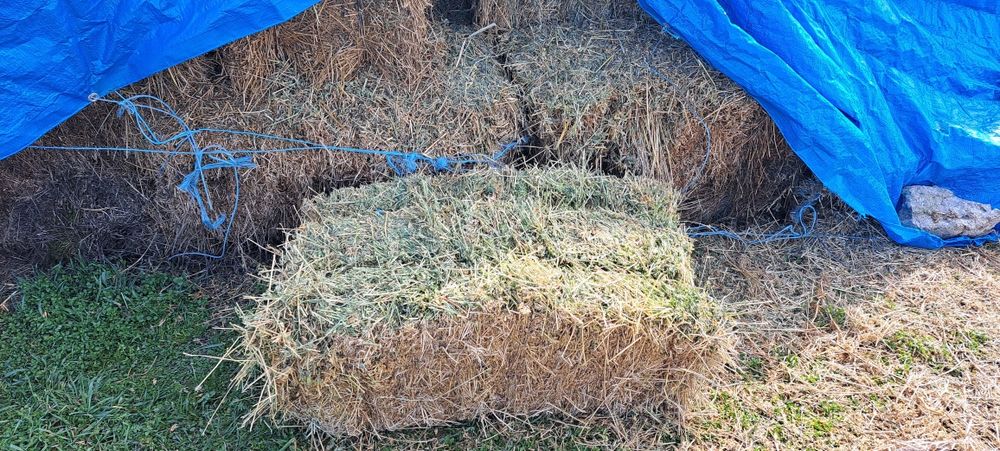 Vand baloti lucerna coasa 3 si 4 calitate superioara