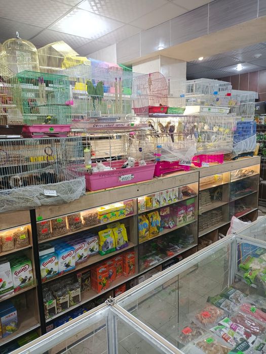 Товары для животных