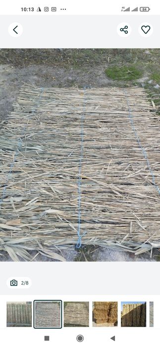 Qamich+Lomboz+Somon mayda(Xasanboyda Dastavka chiqaramiz)