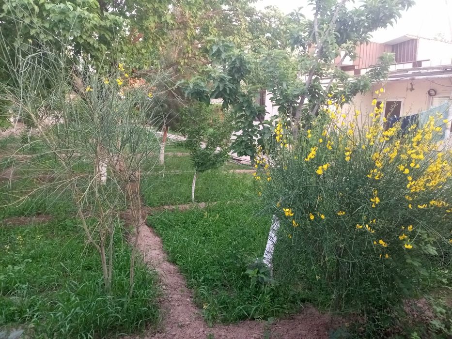 Срочно продаётся дача