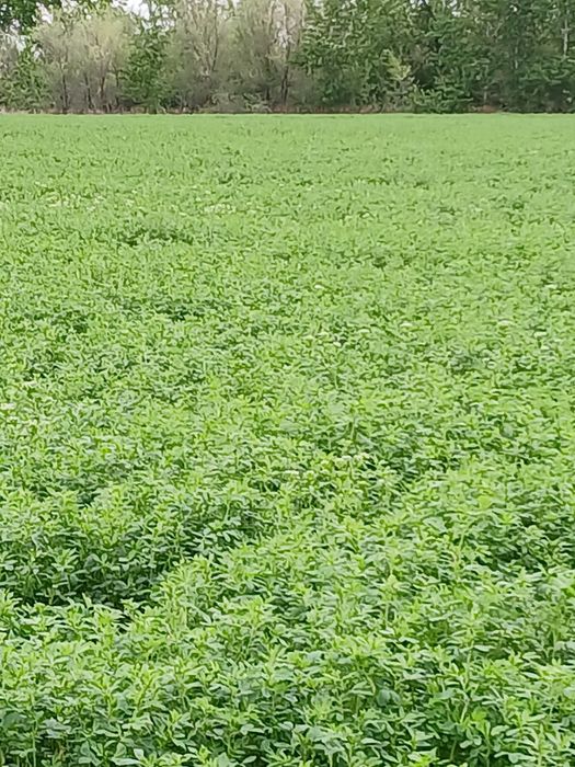 Земельный участок