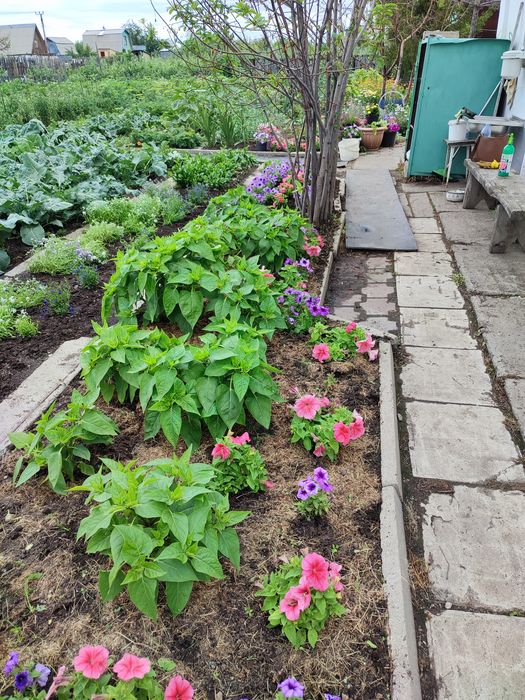 Продаю дачу на Федоровке