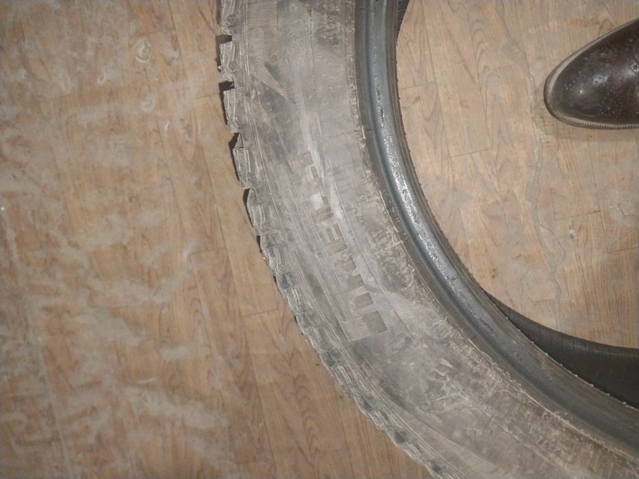 шина r21. шипованная