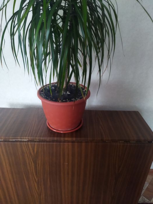 Стол - книжка  б/у