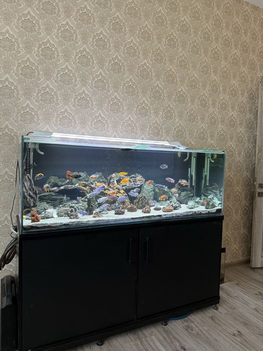 Akvarium 300L lik