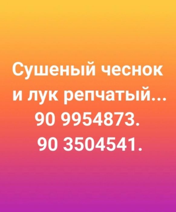 Сушеный чеснок и лук репчатый собственного приготовления
