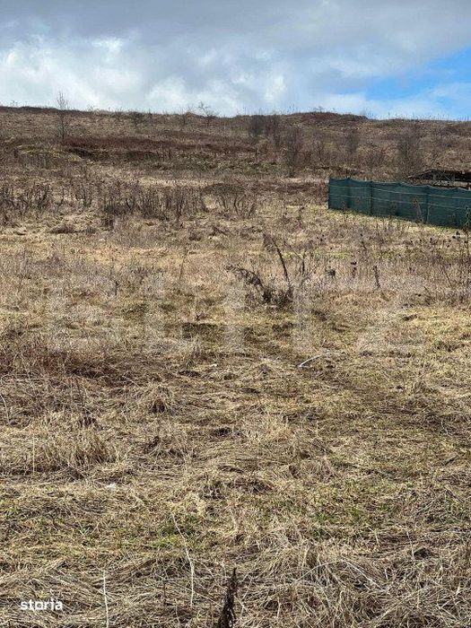 Teren intravilan, 568mp, zona Livezeni