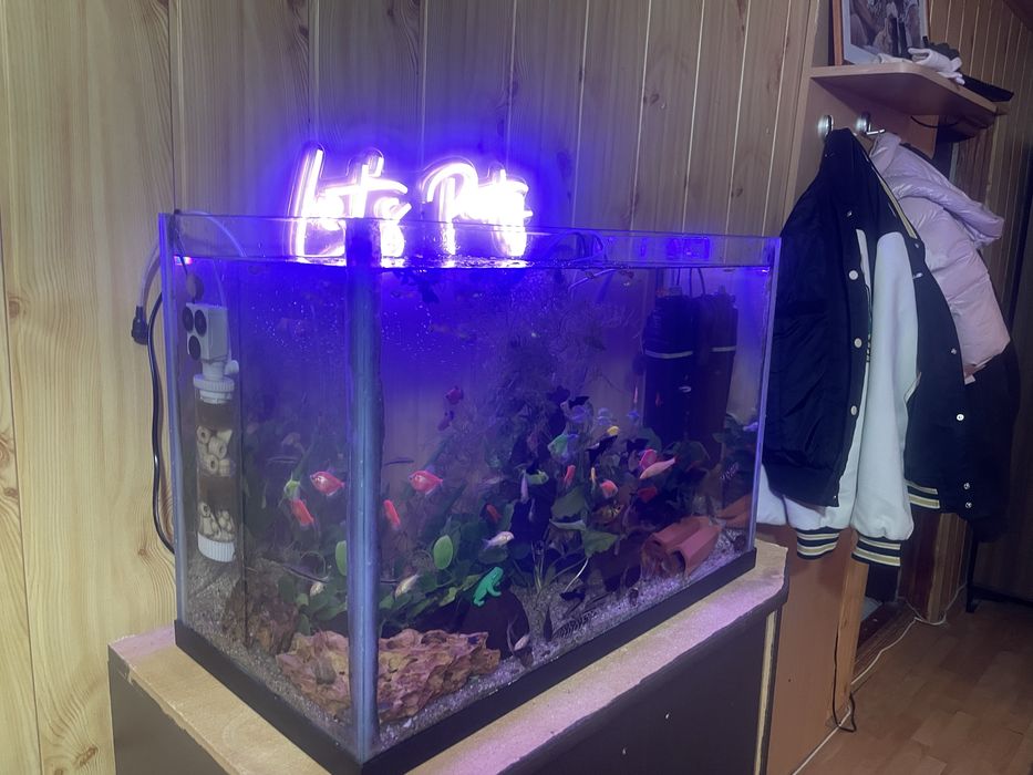 Acvariu 65 Litri cu pesti si echipat