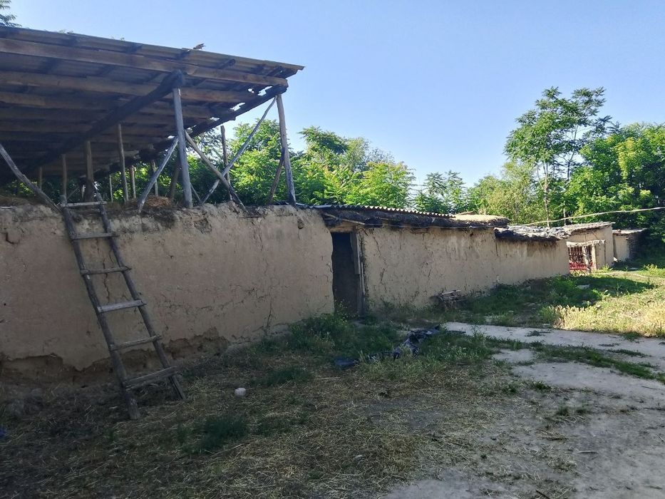 БУКА МФЙ Qolğonsir kochasi 84 uy