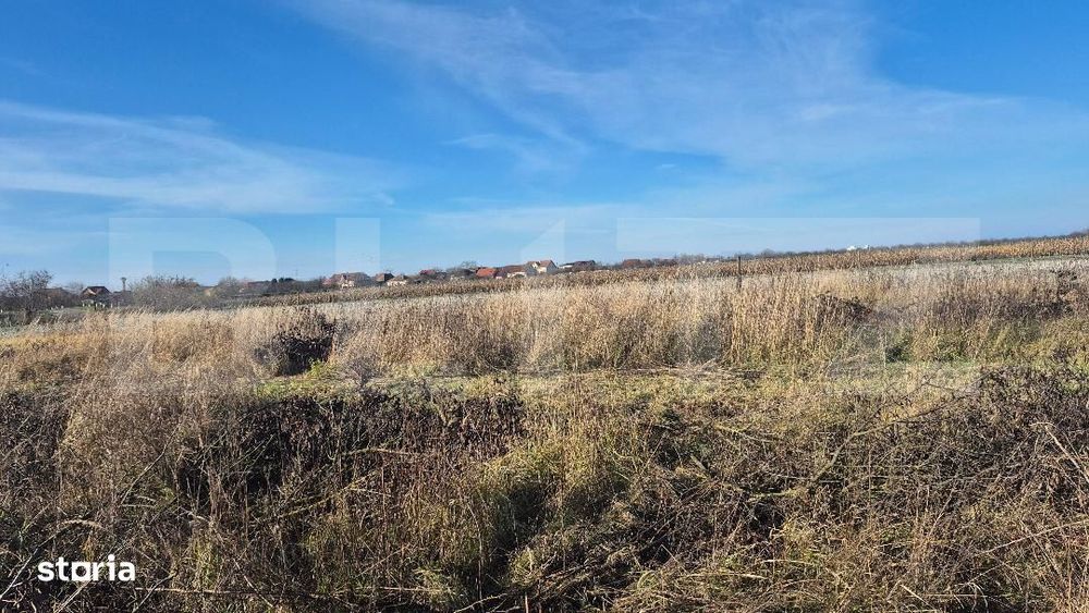 Teren intravilan de vanzare, 1000 mp, in Odoreu - Vedere 2