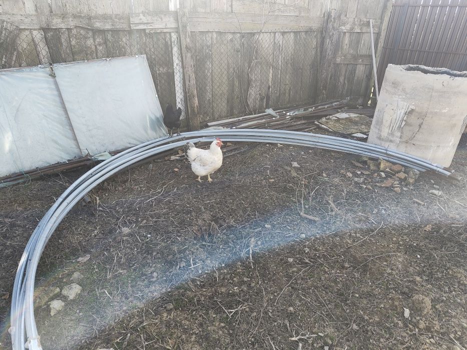 Vand schimb Arce zincate pentru solar