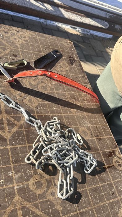 Найдена собака ,овчарка .бегает в районе жк елет