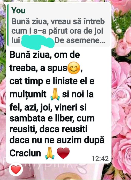 Profesor (PFA) ofer meditații pentru limba română și limba engleză