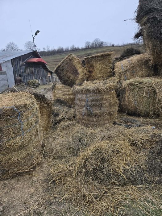 Vand baloti paie, lucerna, ciocani