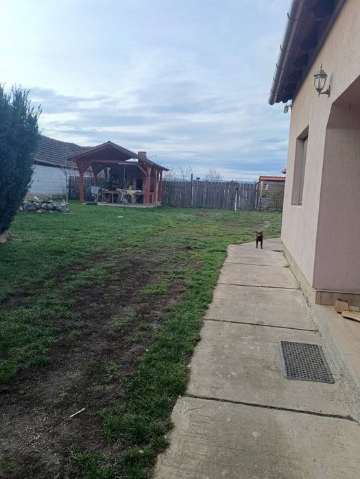 Casa de vanzare Nusfalau