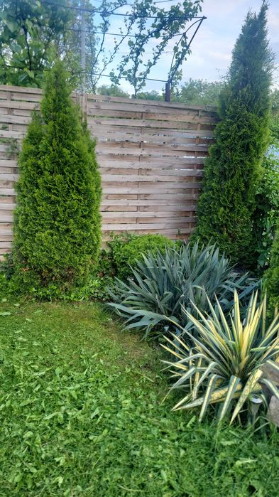 Vând casa Turda ieșire spre Cluj