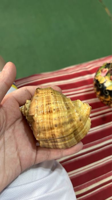 Продам Ссср аксессуары  оптом