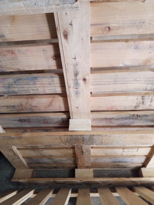 Poddon bor holati yangi